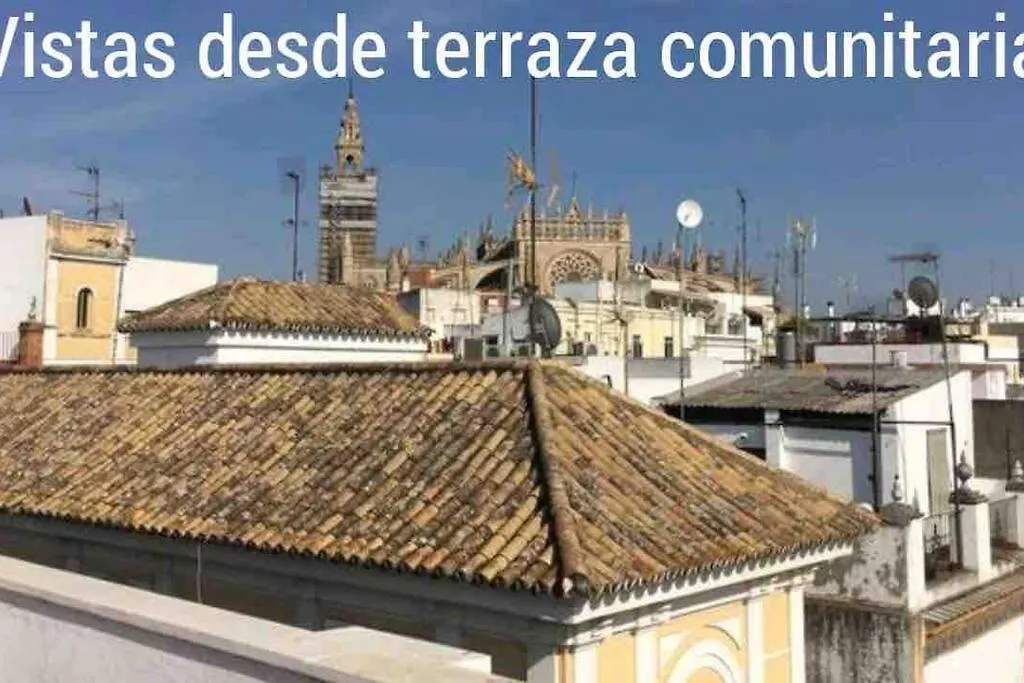 Cder Apartment Center Cathedral And Alcazar Seville